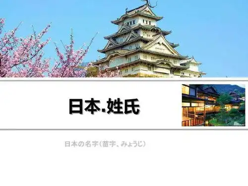 我孙子不是真孙子猪口猪鼻也不是猪头肉,他们都是姓氏