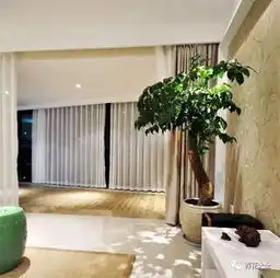 这种花旺财养人镇家守业,不养1盆后悔吧