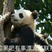 漂流瓶套路表情包