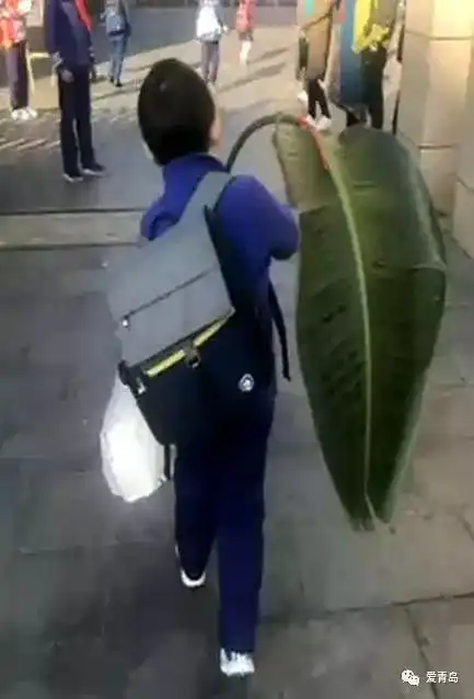 上万人激辩点赞家长or幼儿园你站哪队