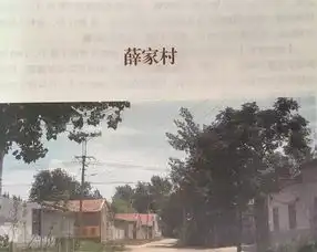 庆云农村故事东辛店镇薛家村