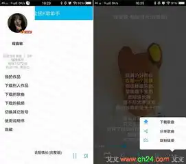 全民k歌助手v1.3免费vip版