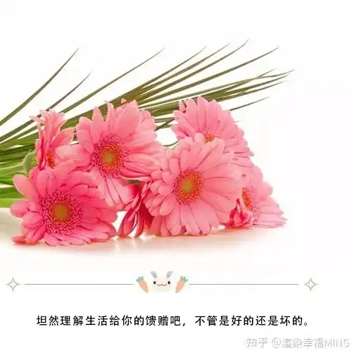 太阳升起来,又开始新的一天的生活