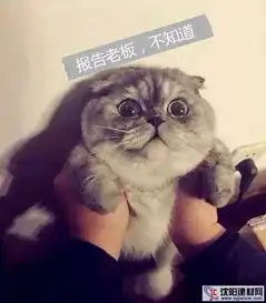 用好有讲究,洗碗机也有注意事项