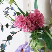 测试一个超长简介的文章