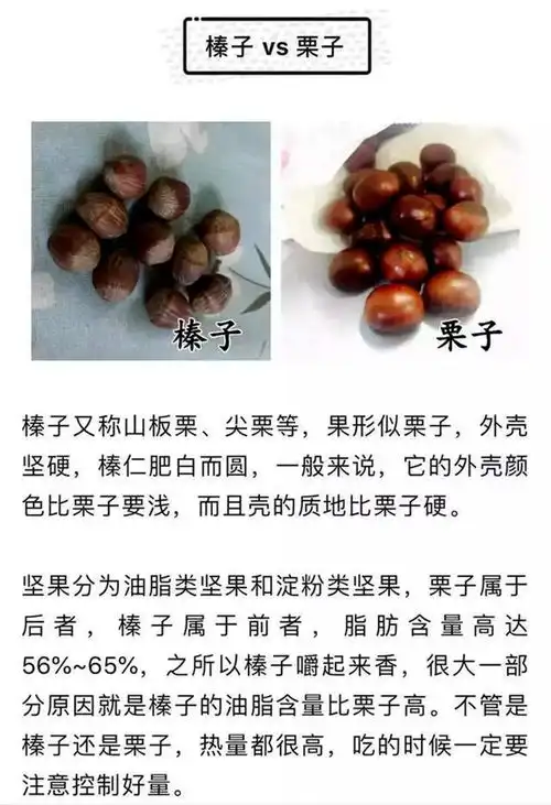 车厘子和樱桃,奇异果和猕猴桃,这些神似的食物不再傻傻分不清楚