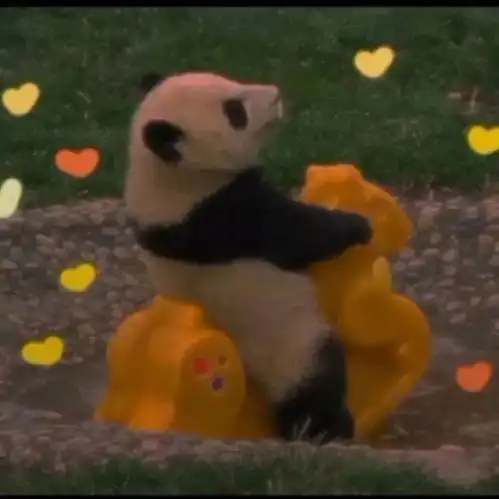 测试一个超长简介的文章