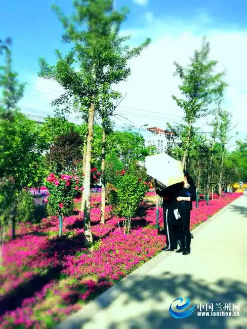 打造花海景观提升景区品质