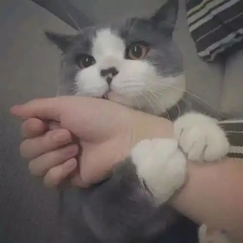 燥起来baby