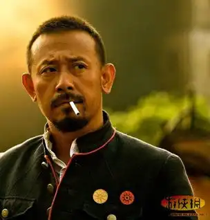 陈道明吴秀波姜文看娱乐圈帅大叔如何攻城略地