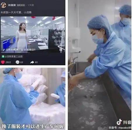 够规范,敢透明小浣熊婴童护理邀抖音红人探秘透明工厂