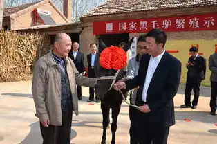 中国首席驴倌扶贫记