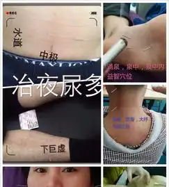 0基础中医针灸艾灸推拿正骨高级技能培训班