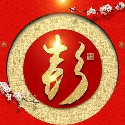 春节快到了您的头像该换了红色喜庆金字百家姓微信头像