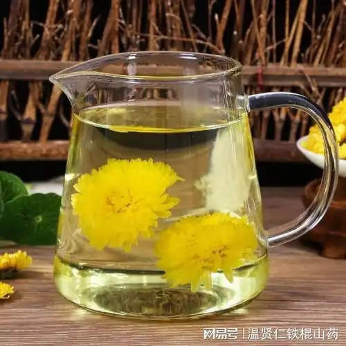 怀菊花与贡菊一文读懂它们的区别与温贤仁怀菊花茶的养生奥秘