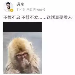 张翰没演技只会耍帅土到掉渣,被骂滚出娱乐圈