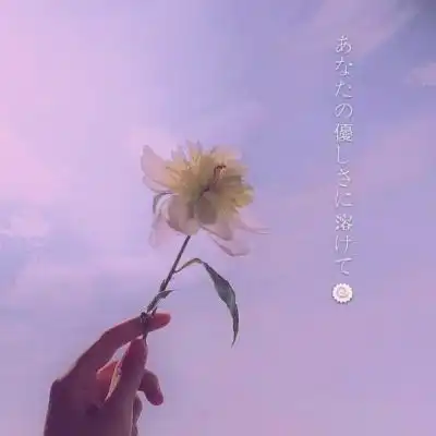 彩神app网站登录平台