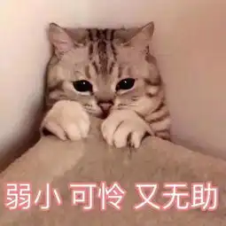 程序员的回家行李亮了最火的还是这只春运网红桶