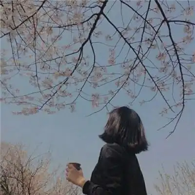 测试一个超长简介的文章