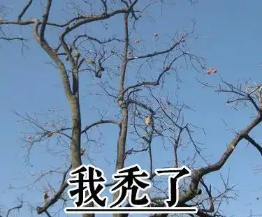 请回答2018,你的年度关键词是