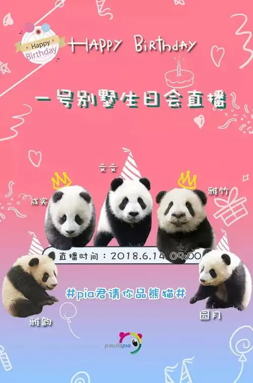 优雅野性,才能坐拥香车美熊