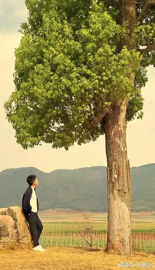 董宇辉晒云南美景,他孤身一人背靠石墩,拍出了秋风萧瑟的反差感