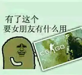 求那张有了csgo,要女朋友有什么用的图片