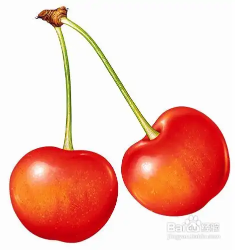 六款最适合春季吃的养生食谱