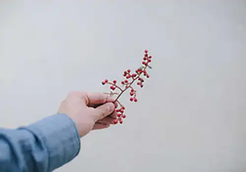铁姓的来源铁姓起名铁姓名人明星大全铁姓人口在百家姓中的排名