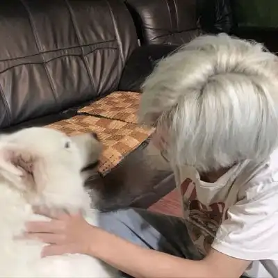 测试一个超长简介的文章