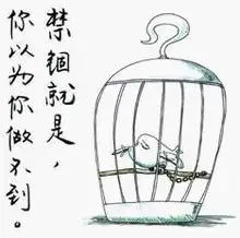 分享小小哲理yazqy雅姿琴韵搜狐博客