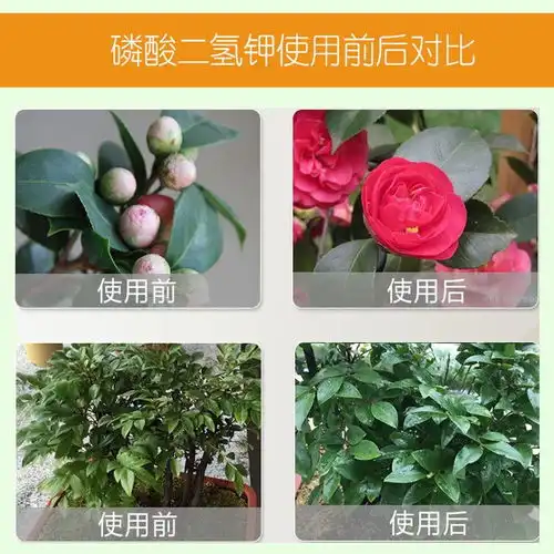 磷酸二氢钾茉莉栀子花牡丹花肥料家用养花种花专用肥花卉通用肥料