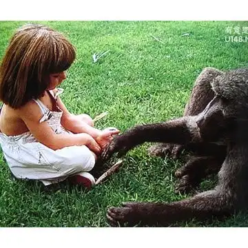 我的收藏