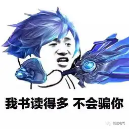王者荣耀电气版大兄弟,排位不