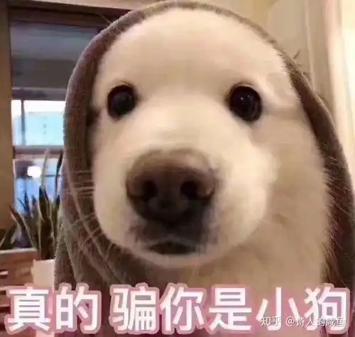 我想问下苏州和无锡哪个适合刚毕业的大学生以后长期发展并定居