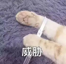 封神专访骗个大熊本一场技术运气与技术的交流