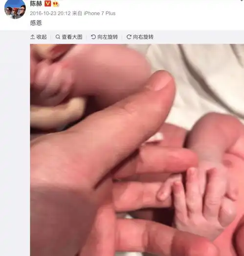 吉娜产子郎朗晒娃,却因一个小细节被骂陈赫薛之谦犯过同样错误