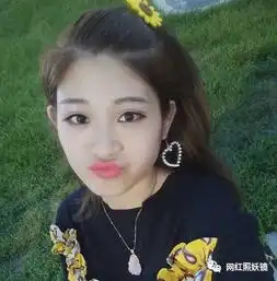 快手赵丽颖郑爽和本尊有8成像,但离开滤镜呐