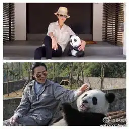 千只纸熊猫空降香港刘嘉玲舒淇卖萌合影倡环保