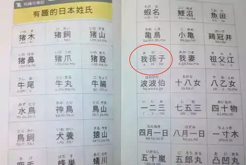 日本最奇葩的城市,用我孙子当作市名,甚至还是日本人的姓氏