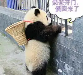 美少女cos表情包,收了吧骚年