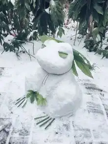 下雪天遇到这样一群人,暖哭了