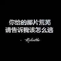 微信纯字白图微信头像图片大全