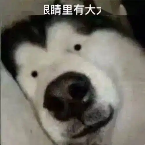 芜湖6岁女孩偷跑出医院,2个民警狂追.....