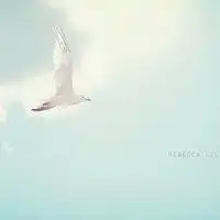 抖音透明头像照片微信头像图片大全