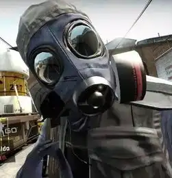 csgo苍蝇头头像