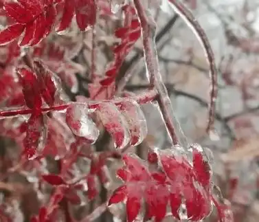 下雪了