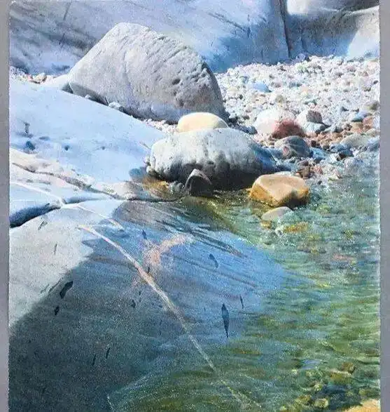 水彩画成这样,做梦都会笑开花了