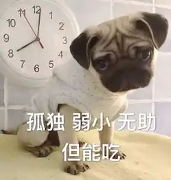 养一只戏精小巴哥是一种什么样体验