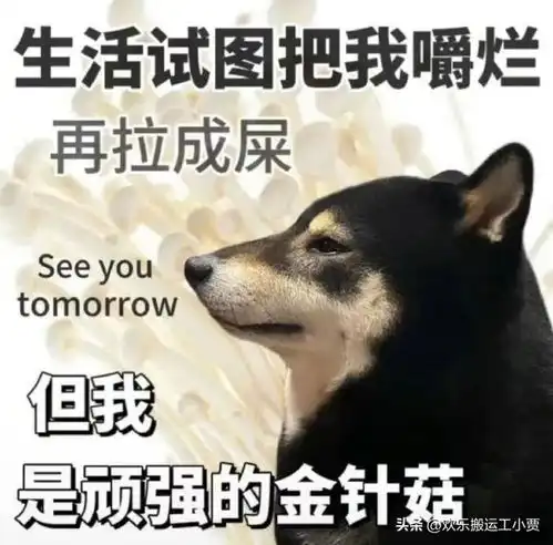 打工人太难了上班连微信头像都要管